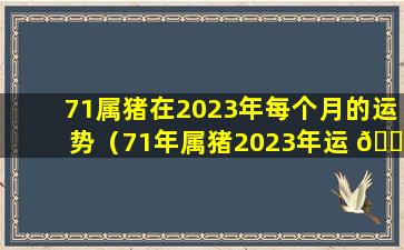 71属猪在2023年每个月的运势（71年属猪2023年运 🐴 势及运程每月 🌳 运程）